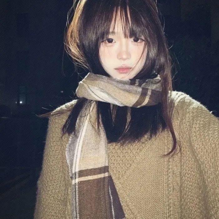 公猫